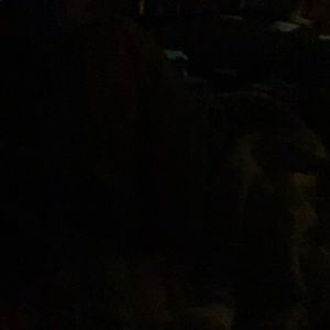 Meet your Posher, Morgan